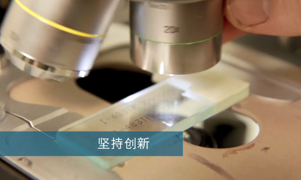 ag真人平台团队，，，，，全力以赴为您提供理想的解决计划