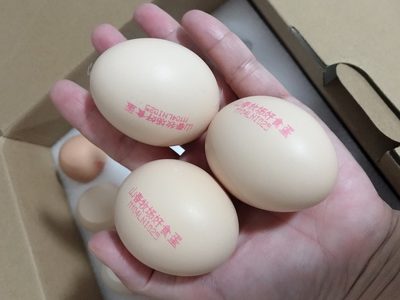 浏览全球网络，，，，您还能找到比这个更周全的鸡蛋喷码机解决计划吗？？？？