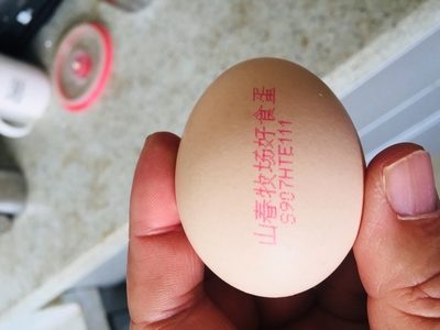 浏览全球网络，，，，您还能找到比这个更周全的鸡蛋喷码机解决计划吗？？？？