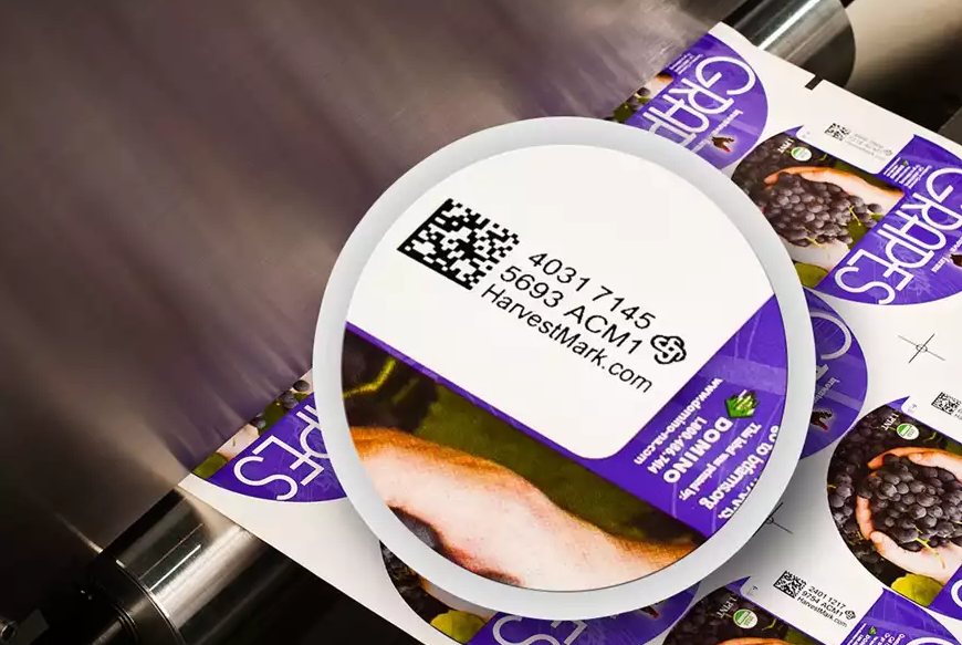 开启供应链数字化之旅 ，，，，感受全新的生产模式！