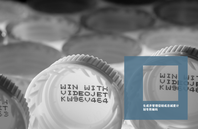 促销和忠诚度——妄想用喷码