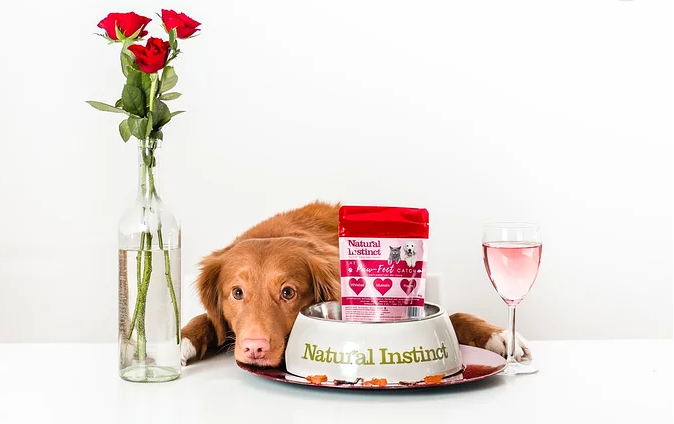 千亿“它”经济进入快车道，，，，，，，看赋码怎样应对挑战？？？？？？？